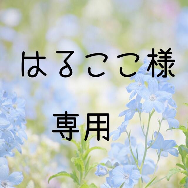 はるここ　お米　令和２年　愛媛県産キヌヒカリ　玄米　20㎏