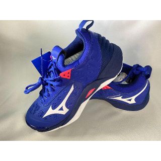 ミズノ(MIZUNO)のMIZUNO　バレーボールシューズ　28cm　V1GA191220(バレーボール)