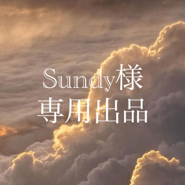 Sundy様 専用出品 | prizmadent.ba