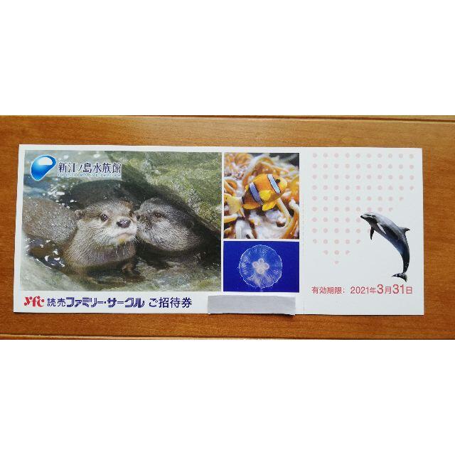 新江ノ島水族館  招待券 1枚 チケットの施設利用券(水族館)の商品写真