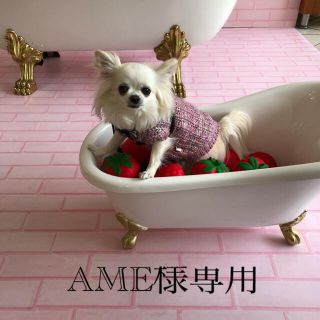 AME様専用(パーカー)