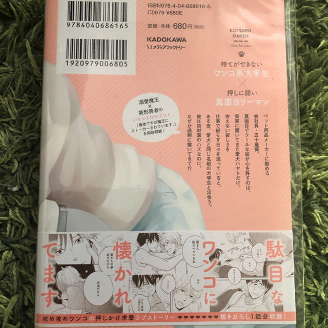 BLコミック①恋する駄犬はワンと鳴く②ご主人様といっしょ！特典リーフレット付き エンタメ/ホビーの漫画(ボーイズラブ(BL))の商品写真