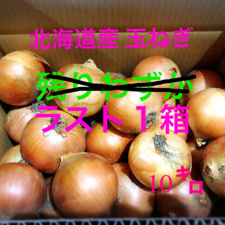 北海道産農家直送玉ねぎ10キロ ラスト1箱(野菜)