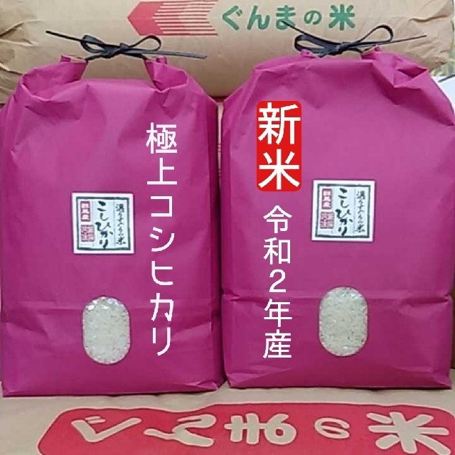 食品極上コシヒカリ！令和2年産！精米or無洗米！20