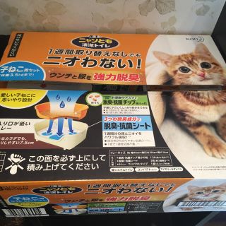 カオウ(花王)のニャンとも清潔トイレ　子猫用(猫)