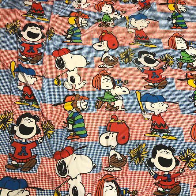 SNOOPY(スヌーピー)の専用❣️ ハンドメイドの素材/材料(生地/糸)の商品写真