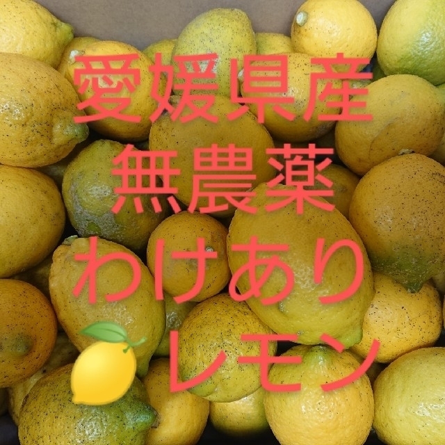 無農薬レモン(わけあり10㎏)レモン水