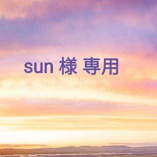 ザセム(the saem)のsun 様 専用(コンシーラー)