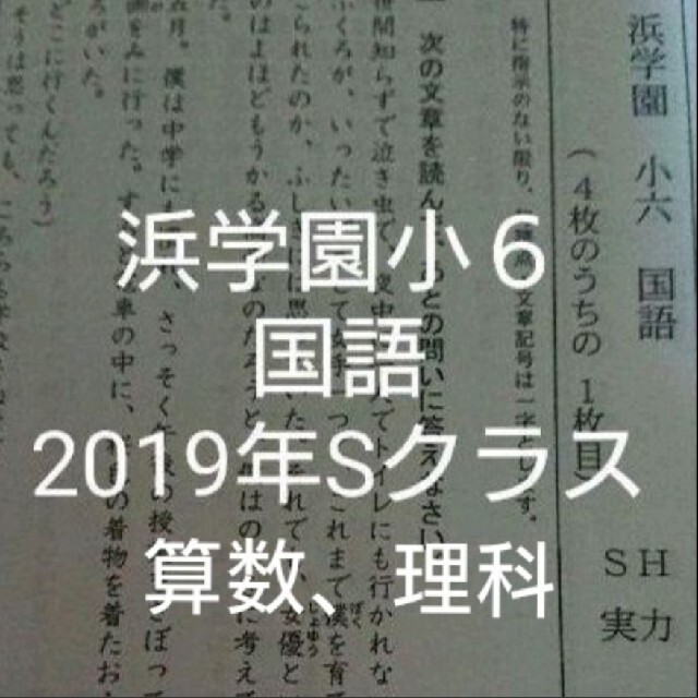 浜学園 小6 復習テスト 【後払い手数料無料】 sosdoselevadores.com.br