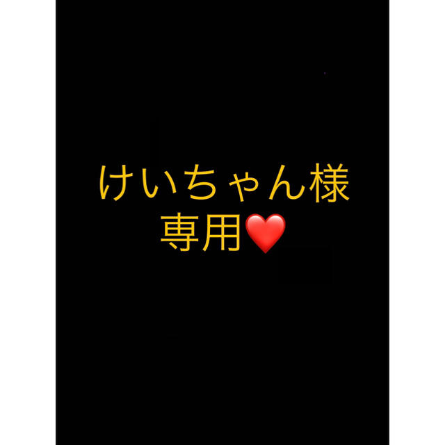けいちゃん様専用ページ 多様な 35%割引 eticasolar.com.br