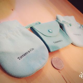 ティファニー(Tiffany & Co.)のティファニージュエリーケース ボタン式(ポーチ)