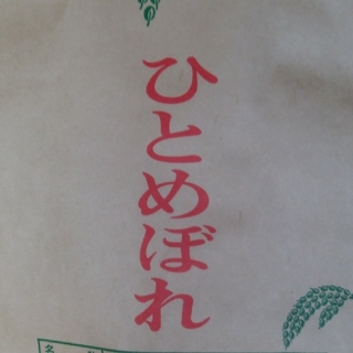 しんちゃんさん専用    米  令和2年度ひとめぼれ10㎏(米/穀物)