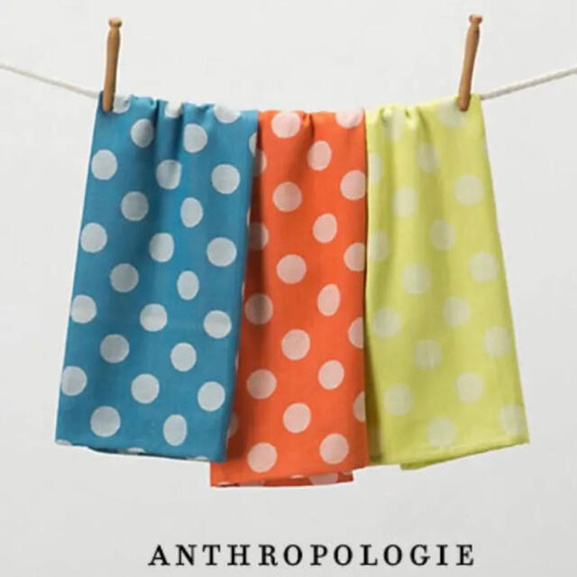 Anthropologie(アンソロポロジー)の専用☆アンソロポロジー　ディッシュタオル  ドット　3枚セット インテリア/住まい/日用品のキッチン/食器(収納/キッチン雑貨)の商品写真