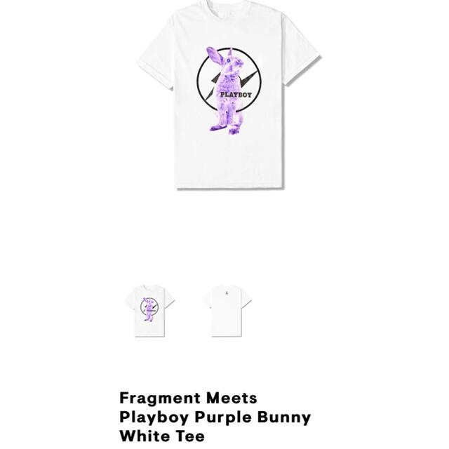 FRAGMENT(フラグメント)のFragment Playboy Purple Bunny Tee XXLサイズ メンズのトップス(Tシャツ/カットソー(半袖/袖なし))の商品写真