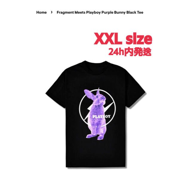 FRAGMENT(フラグメント)のTH様専用 Fragment Playboy Purple Tee XXLサイズ メンズのトップス(Tシャツ/カットソー(半袖/袖なし))の商品写真