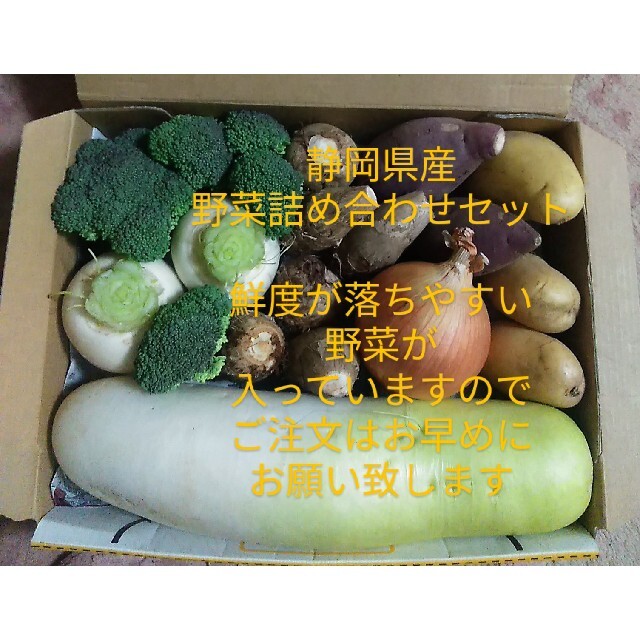 静岡県産野菜詰め合わせセット 食品/飲料/酒の食品(野菜)の商品写真