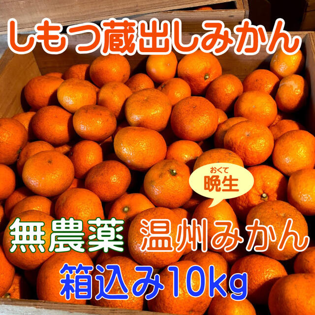 ちょっとお得なセット　国産無添加冷凍いちご越後姫約1000g入りとアイス４種