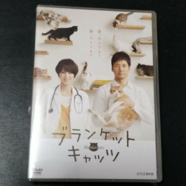 【専用】ブランケット・キャッツ　DVD-BOX蓮佛美沙子