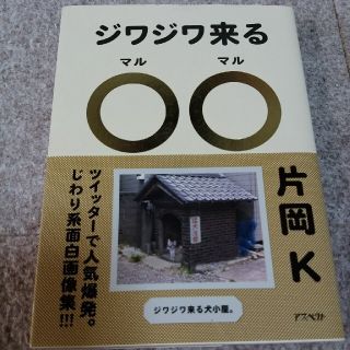 ジワジワ来る〇〇 思わず二度見しちゃう面白画像集(アート/エンタメ)