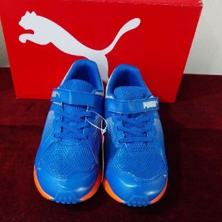 プーマ(PUMA)のPUMA　新品　スニーカー　21㎝(スニーカー)