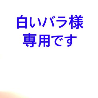 ブランシェス(Branshes)の白いバラ様専用ーブランシェス水着セット　120cm(水着)