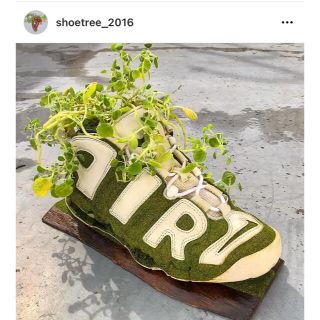 はじめ様専用BOTANIZE NIKE SHOETREE(プランター)