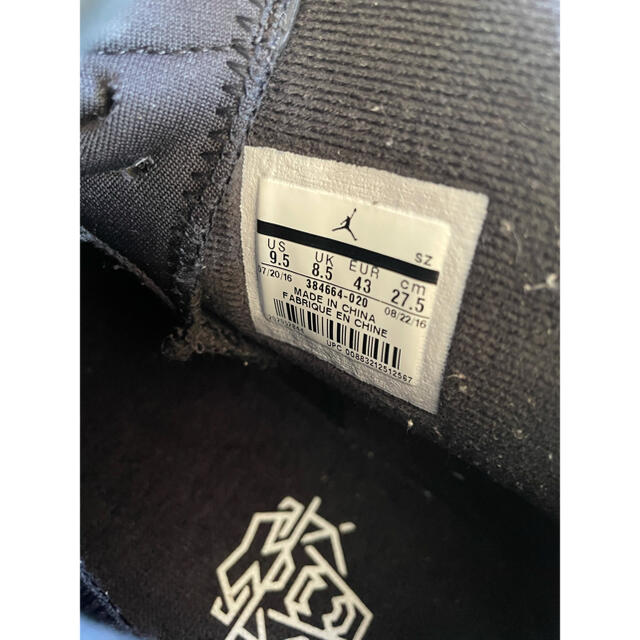 NIKE(ナイキ)のジョーダン6 ブラックキャット メンズの靴/シューズ(スニーカー)の商品写真