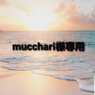 mucchari様専用(その他)