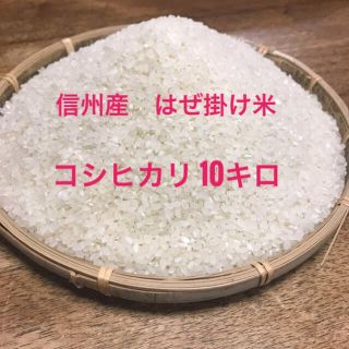 信州産　はぜ掛け米　コシヒカリ  10kg (米/穀物)