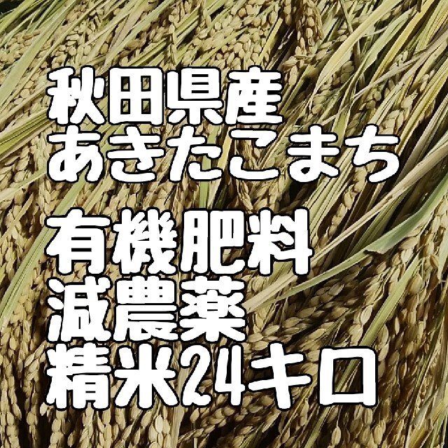秋田県産あきたこまち精米24キロ　米/穀物