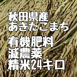 秋田県産あきたこまち精米24キロ(米/穀物)