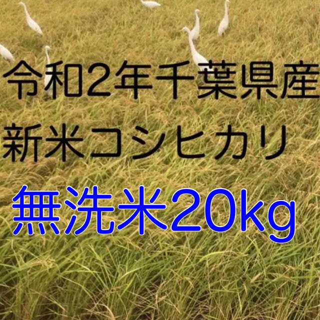 令和2年新米コシヒカリ無洗米20kg　米/穀物