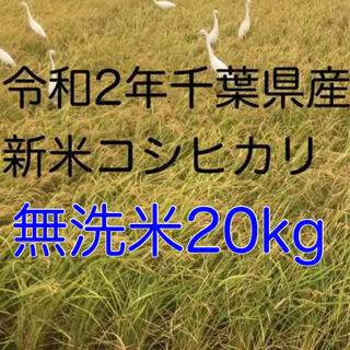 令和2年新米コシヒカリ無洗米20kg(米/穀物)
