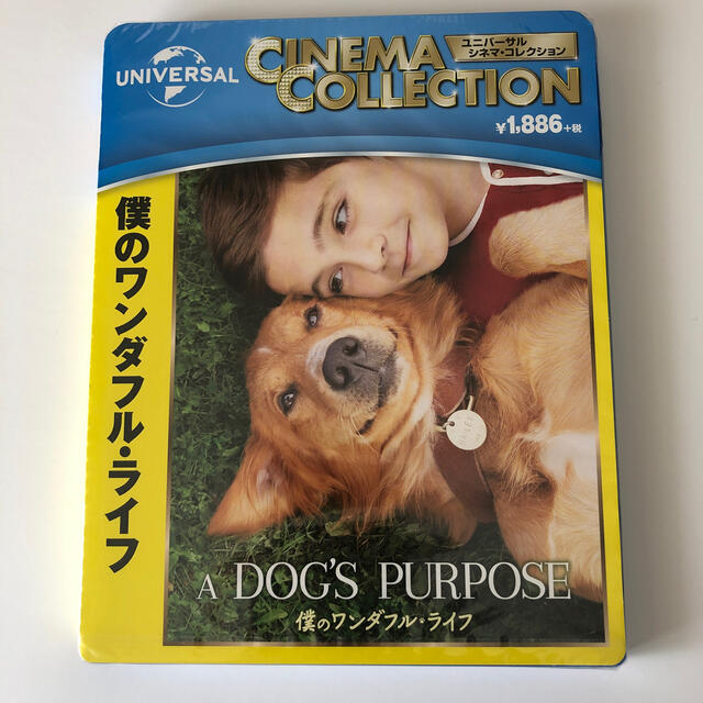 おばさん 憤る 創造 僕 の ワンダフル ライフ Blu Ray Junyakuzen Com おばさん 憤る 創造 僕 の ワンダフル ライフ Blu Ray Junyakuzen Com