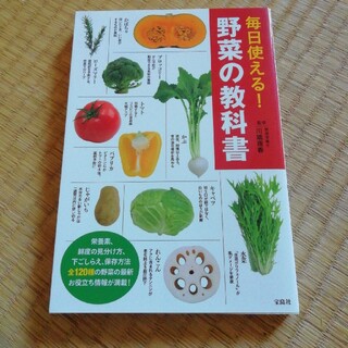 毎日使える！野菜の教科書(料理/グルメ)