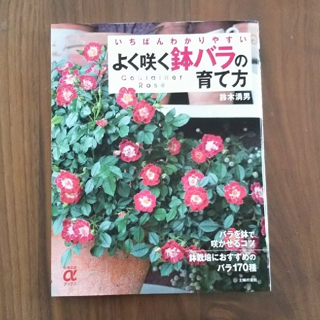 よく咲く鉢バラの育て方 いちばんわかりやすい  エンタメ/ホビーの本(趣味/スポーツ/実用)の商品写真