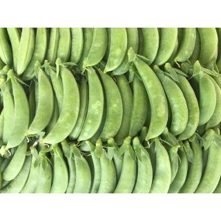 スナップエンドウB(野菜)
