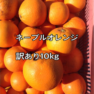 ネーブルオレンジ 10kg 訳あり 説明文必読(フルーツ)