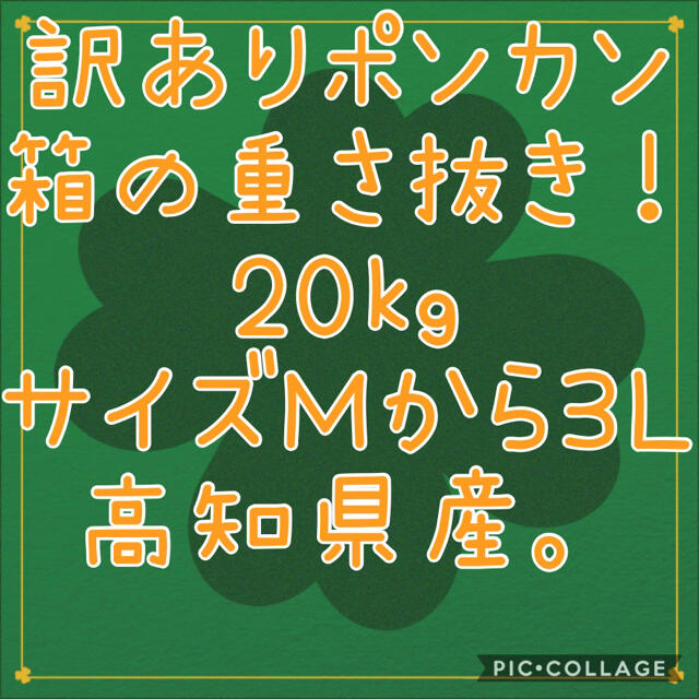 訳ありポンカン20キロ