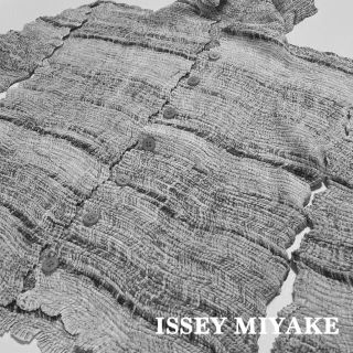 プリーツプリーズイッセイミヤケ(PLEATS PLEASE ISSEY MIYAKE)のISSEY MIYAKE イッセイミヤケ プリーツプリーズ カーディガン(カーディガン)