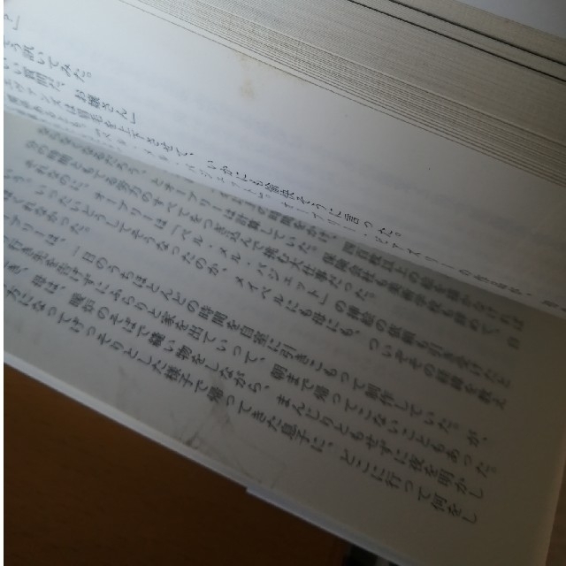 サロメ エンタメ/ホビーの本(文学/小説)の商品写真