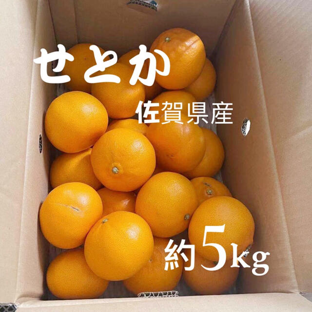 せとか　佐賀産　約5kg x 2 家庭用