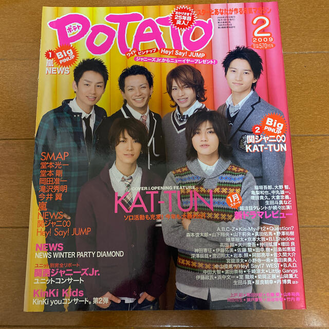 Johnny's(ジャニーズ)のPOTATO (ポテト) 2009年 02月号 エンタメ/ホビーの雑誌(その他)の商品写真