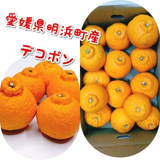 【愛媛県明浜町産】デコポン 5キロ(箱込み)(フルーツ)