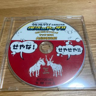 ウルフルズ　復活のヤッサ‼︎ウルフルクラブ会員限定特典(ポップス/ロック(邦楽))