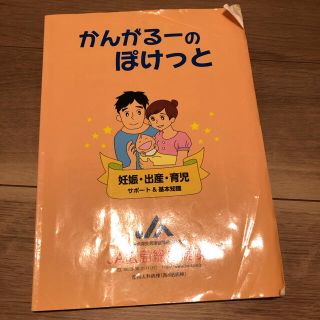 出産育児本　参考書(住まい/暮らし/子育て)