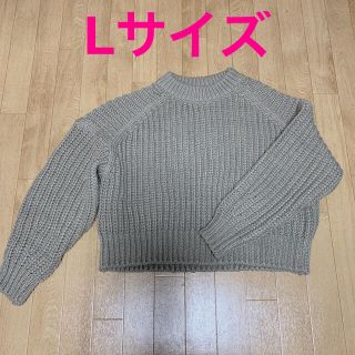 エイチアンドエム(H&M)のH&M チャンキーニット　リブニット　L(ニット/セーター)