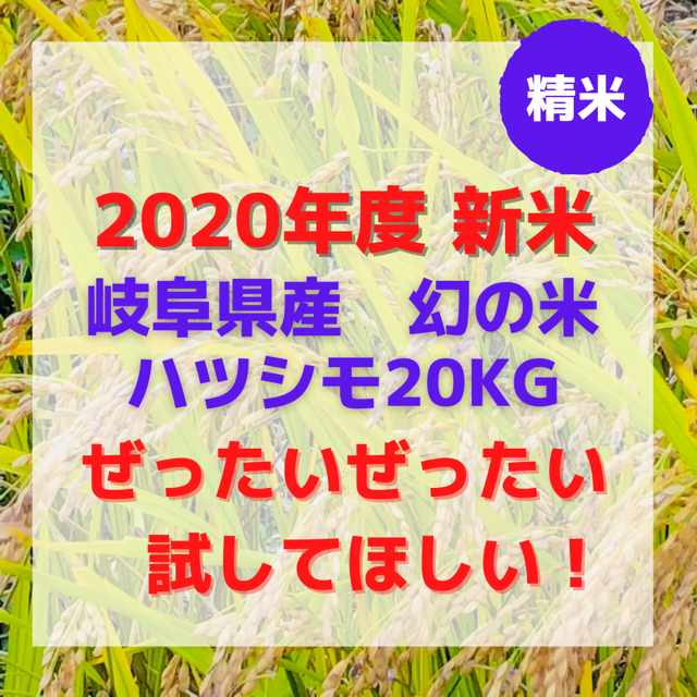 食品/飲料/酒2020年度　収穫したて 岐阜県産 ハツシモ20キロ　精米あり