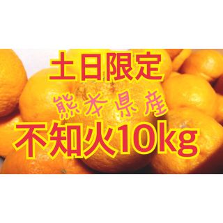 熊本県産不知火10kg(フルーツ)