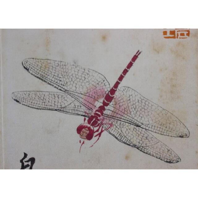 齊白石 蜻蜓圖